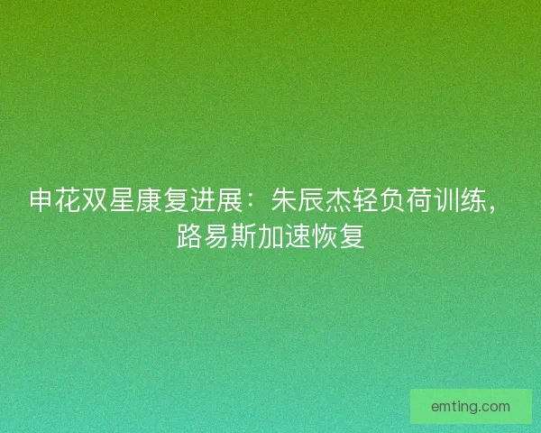 申花双星康复进展：朱辰杰轻负荷训练，路易斯加速恢复